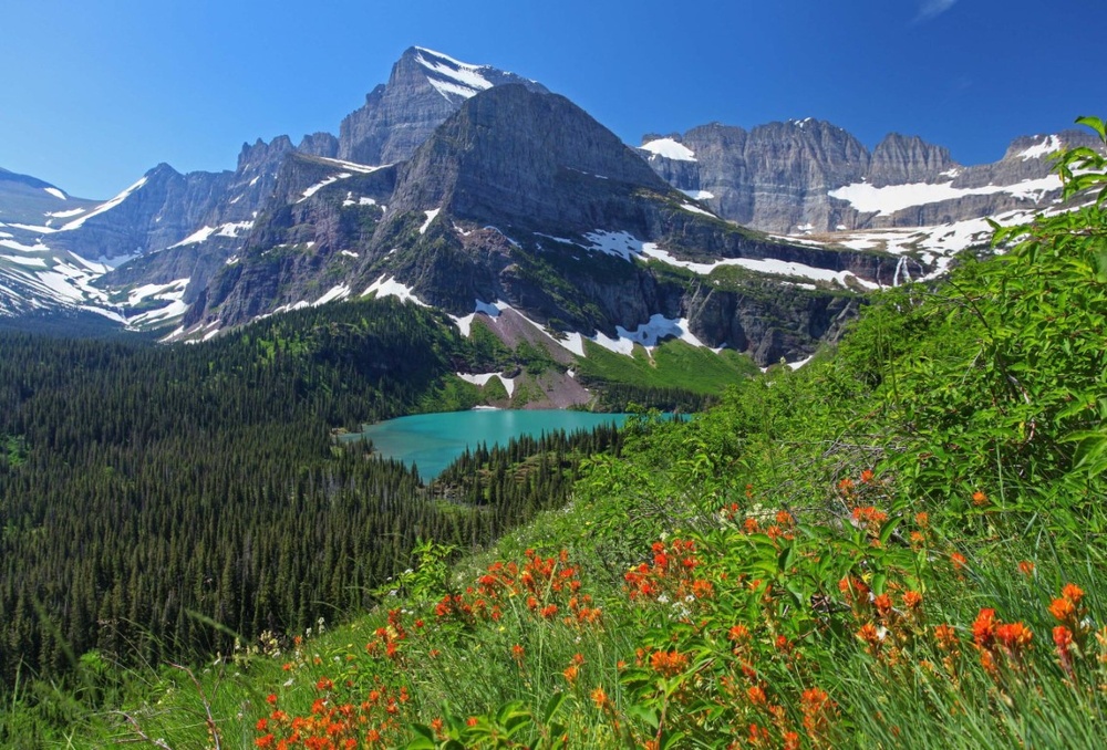 Montana