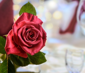 Best places in the US for a Honeymoon
