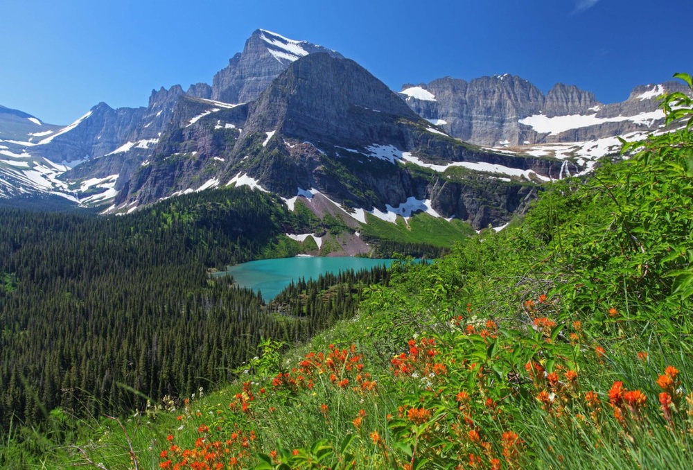 Montana